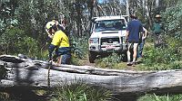 13-Parks Vic Ranger clears the Tingaringy Track